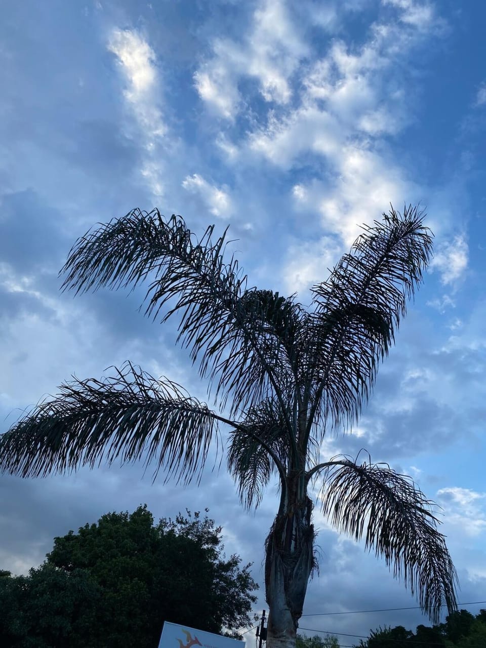 Goldman Florida Guesthouse House in Roodepoort