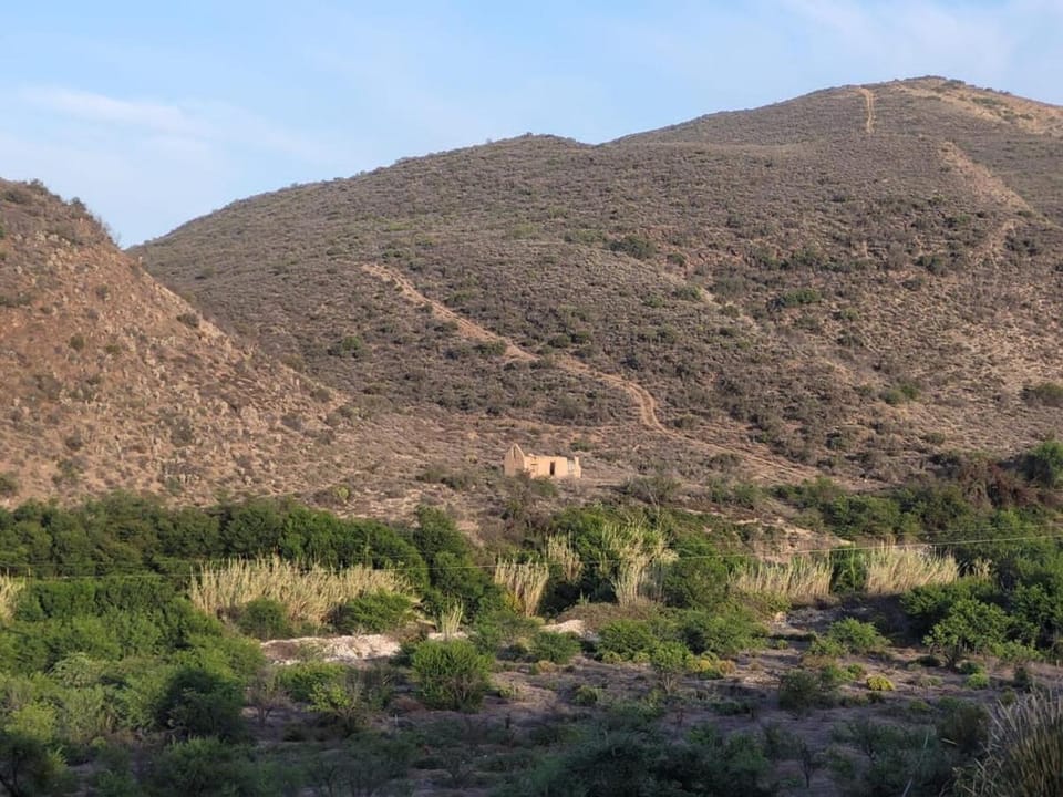 Mountain view