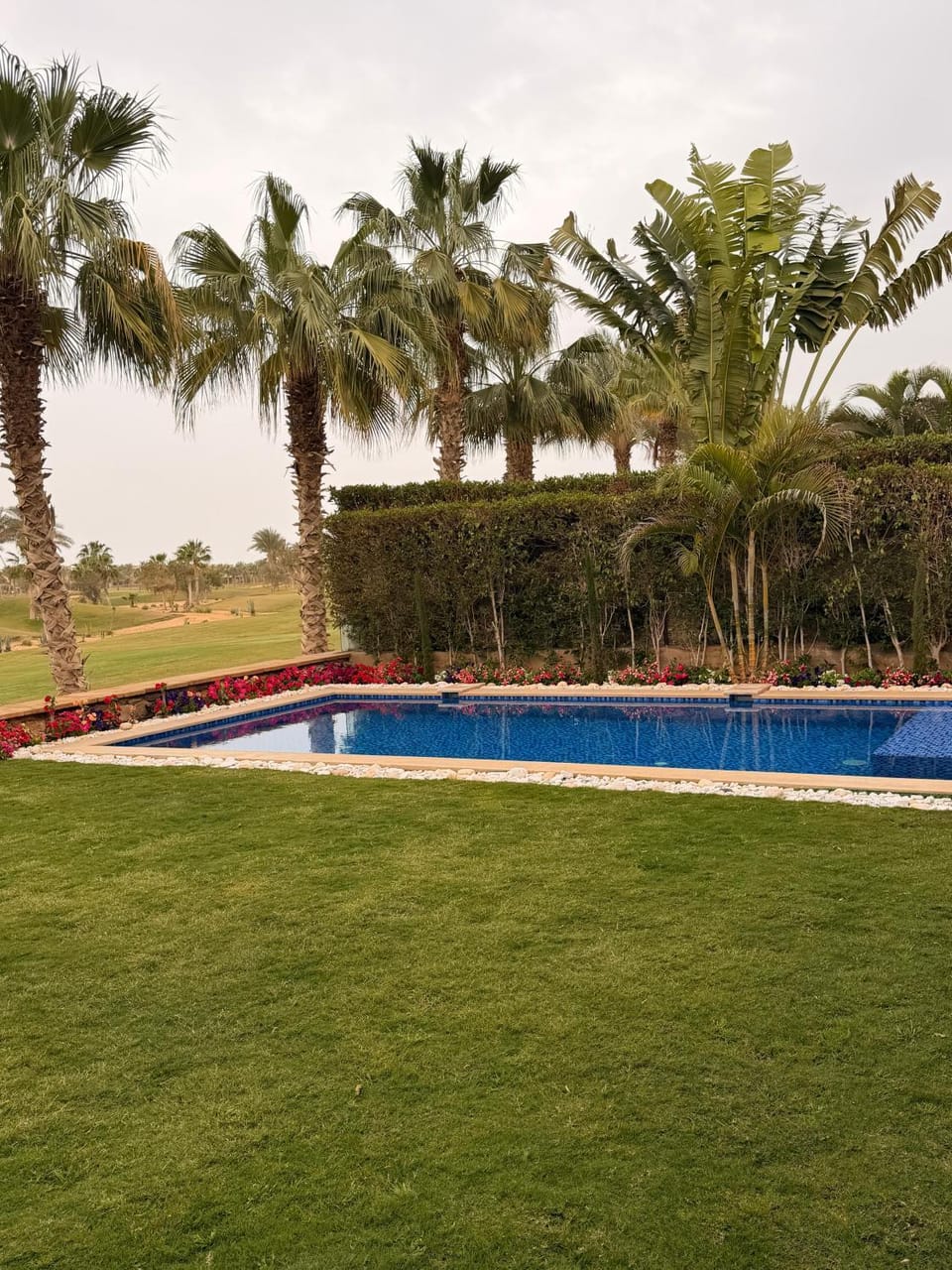 Garden, Swimming pool