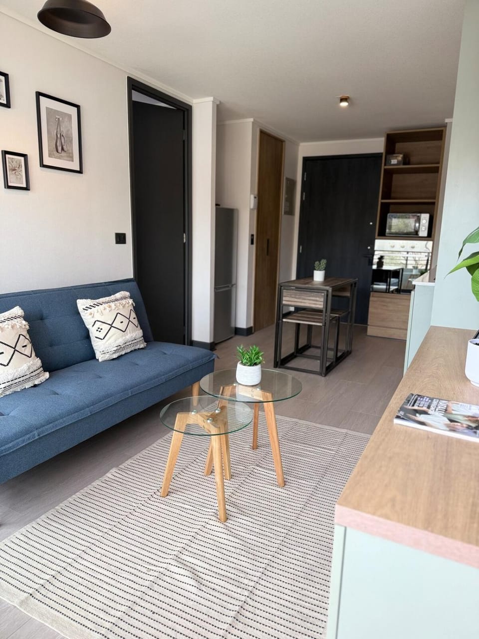 Acogedor departamento en Ñuñoa Apartment in Santiago