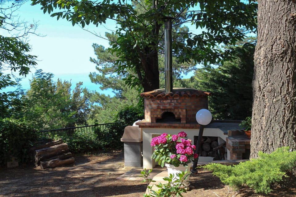 BBQ facilities, Garden view, oven