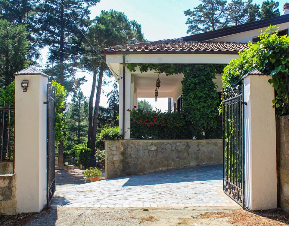 Property building, Garden view