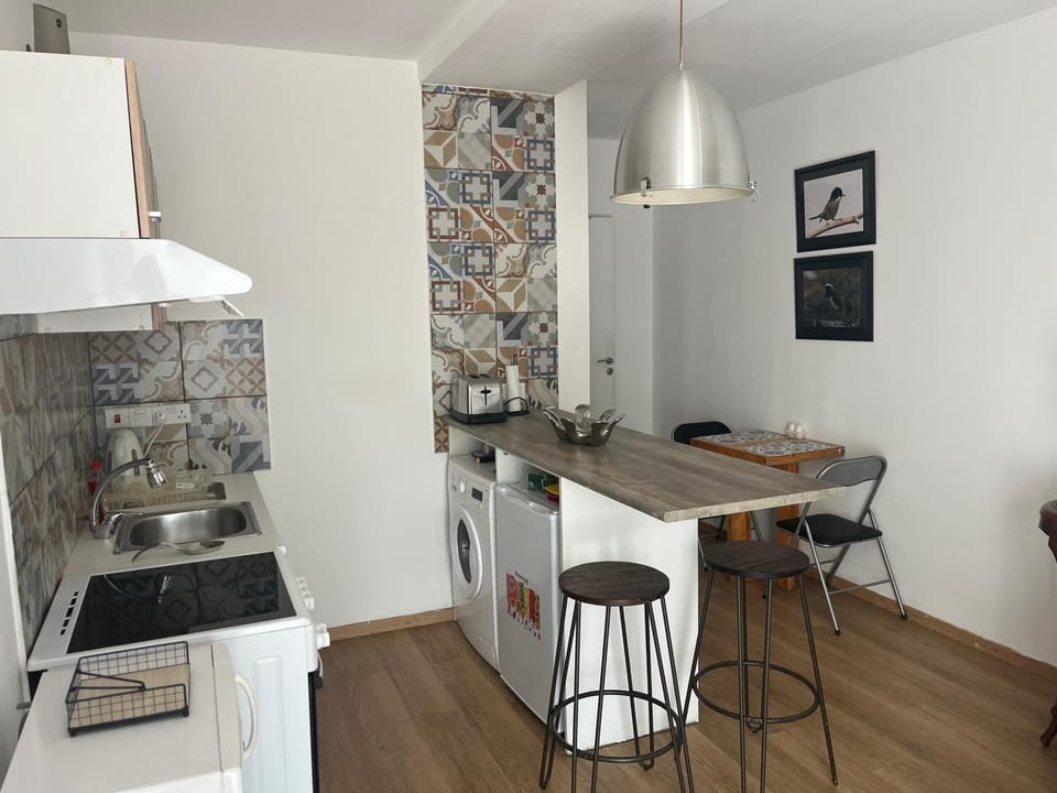 Panos salt lake apartment Apartment in Nicosia District