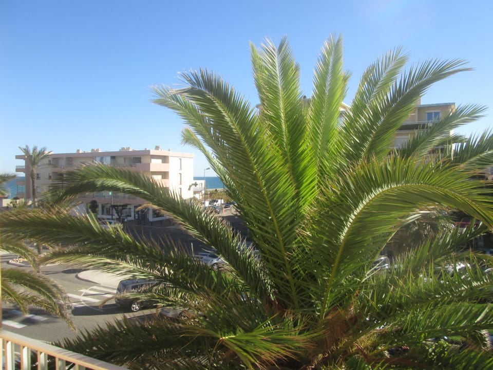 mariflo Apartment in Saint-Cyprien