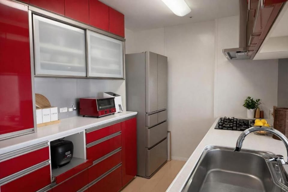 Dotonbori View Luxury Penthouse Apartment in Osaka