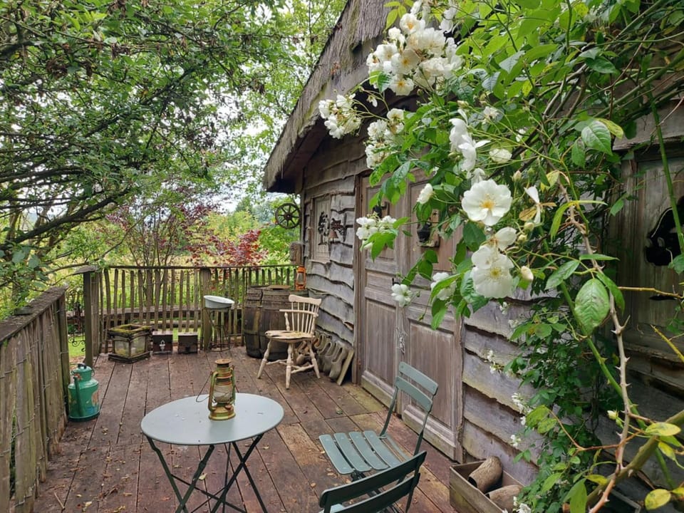 Jardin Rêveur la cabane La tête dans les étoiles Bed and Breakfast in Wallonia, Belgium