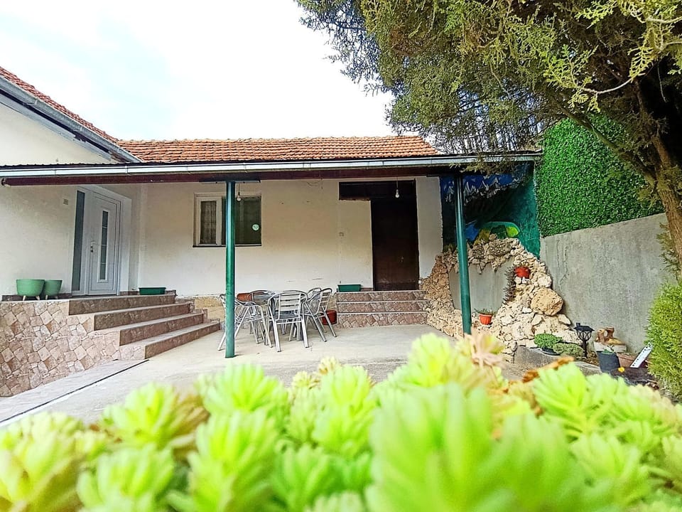 Property building, Patio, Spring, Day, Garden, Garden view