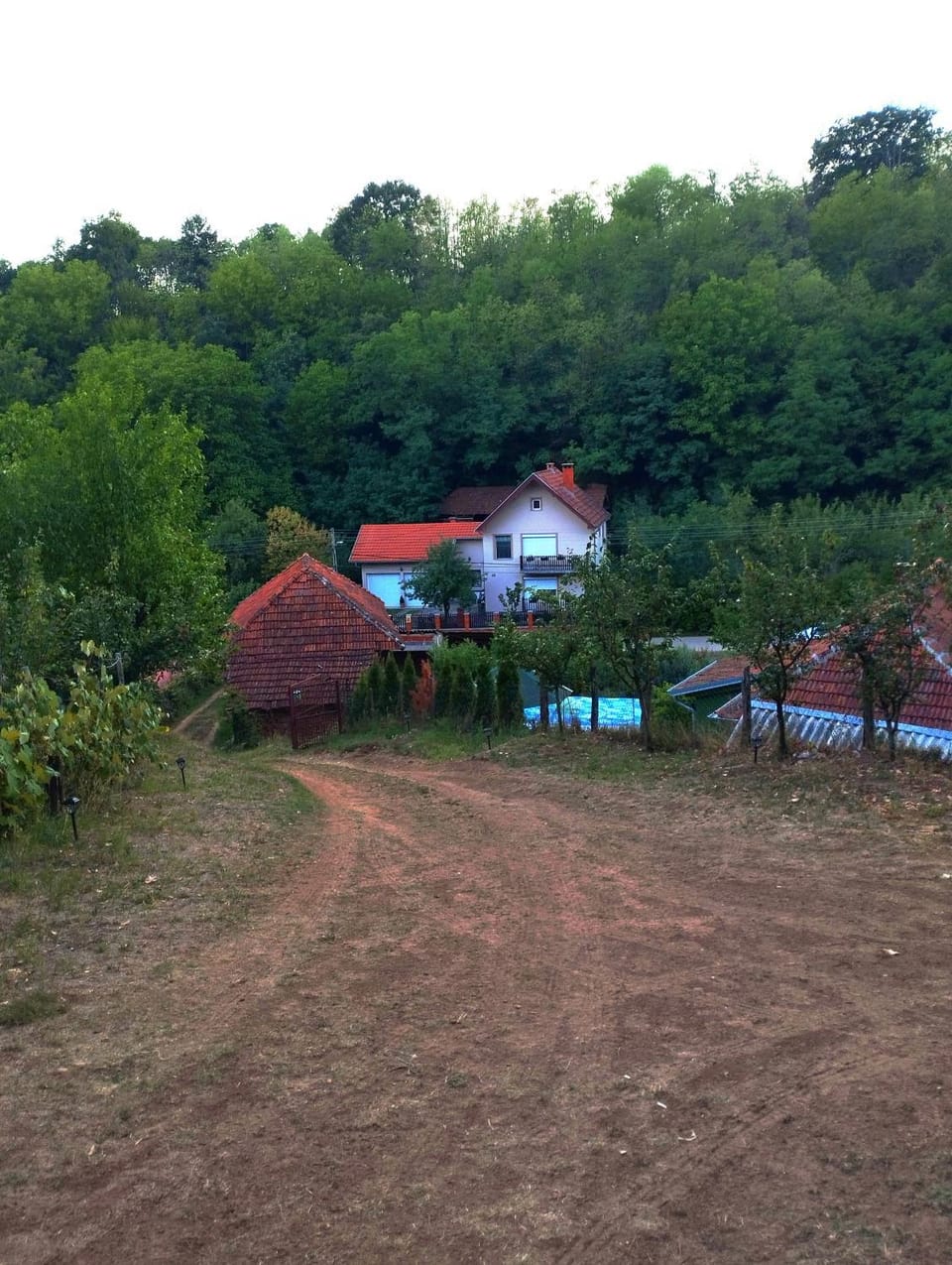 Day, Natural landscape, Garden, Garden view