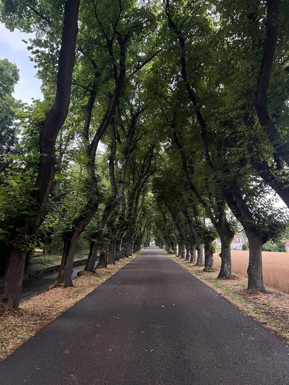 Sous les voûtes Apartment in Île-de-France