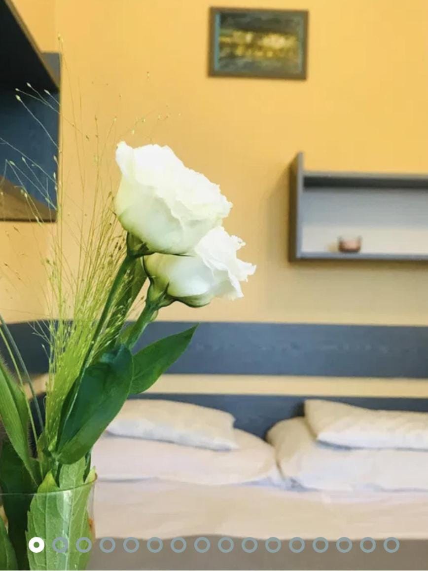 Bed, Living room, Photo of the whole room, Decorative detail, Seating area, Bedroom