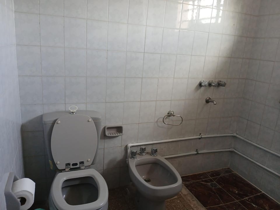 Shower, Toilet, Bathroom, bidet