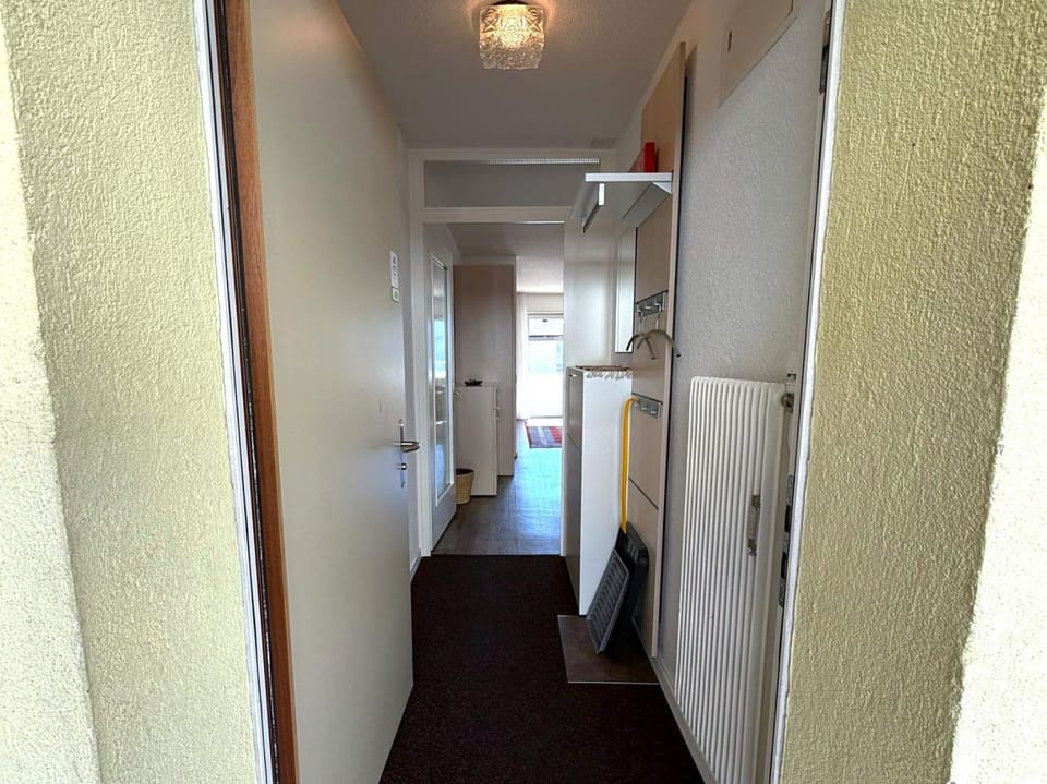 Salute 109 Apartment in Canton of Valais