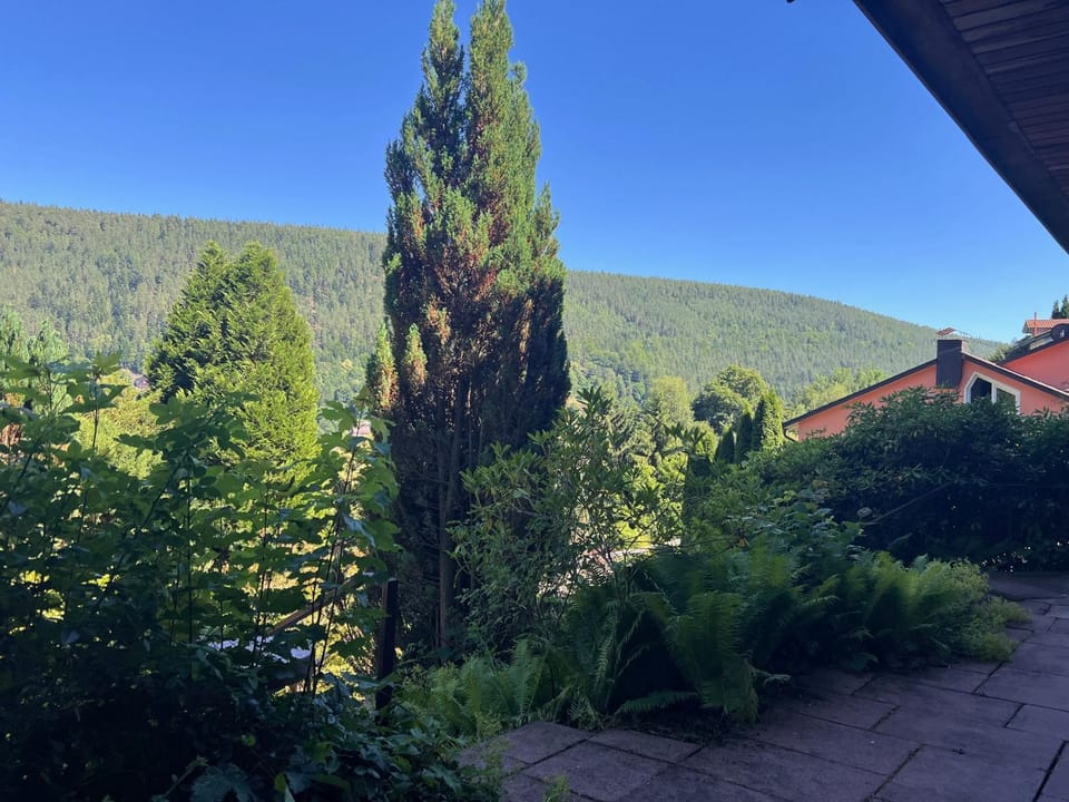 Balcony/Terrace, Mountain view