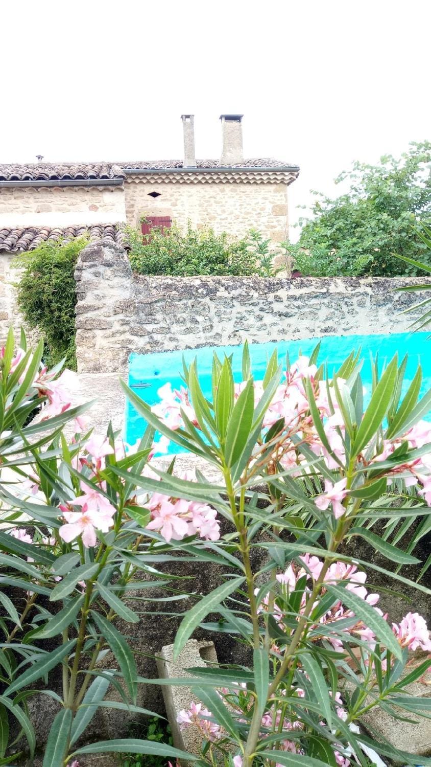 Charmante maison de campagne House in Provence