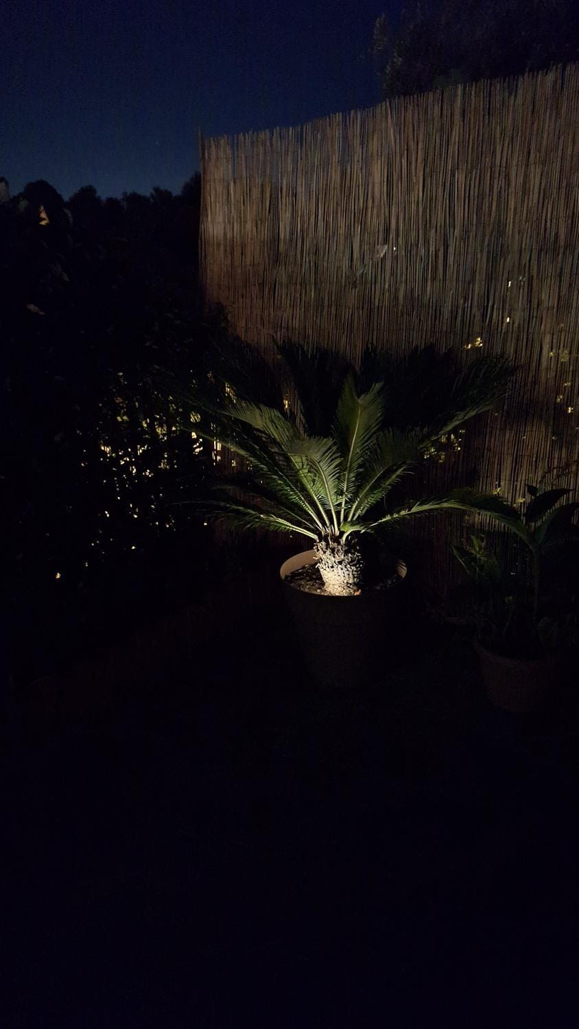 Night, Garden, Garden view