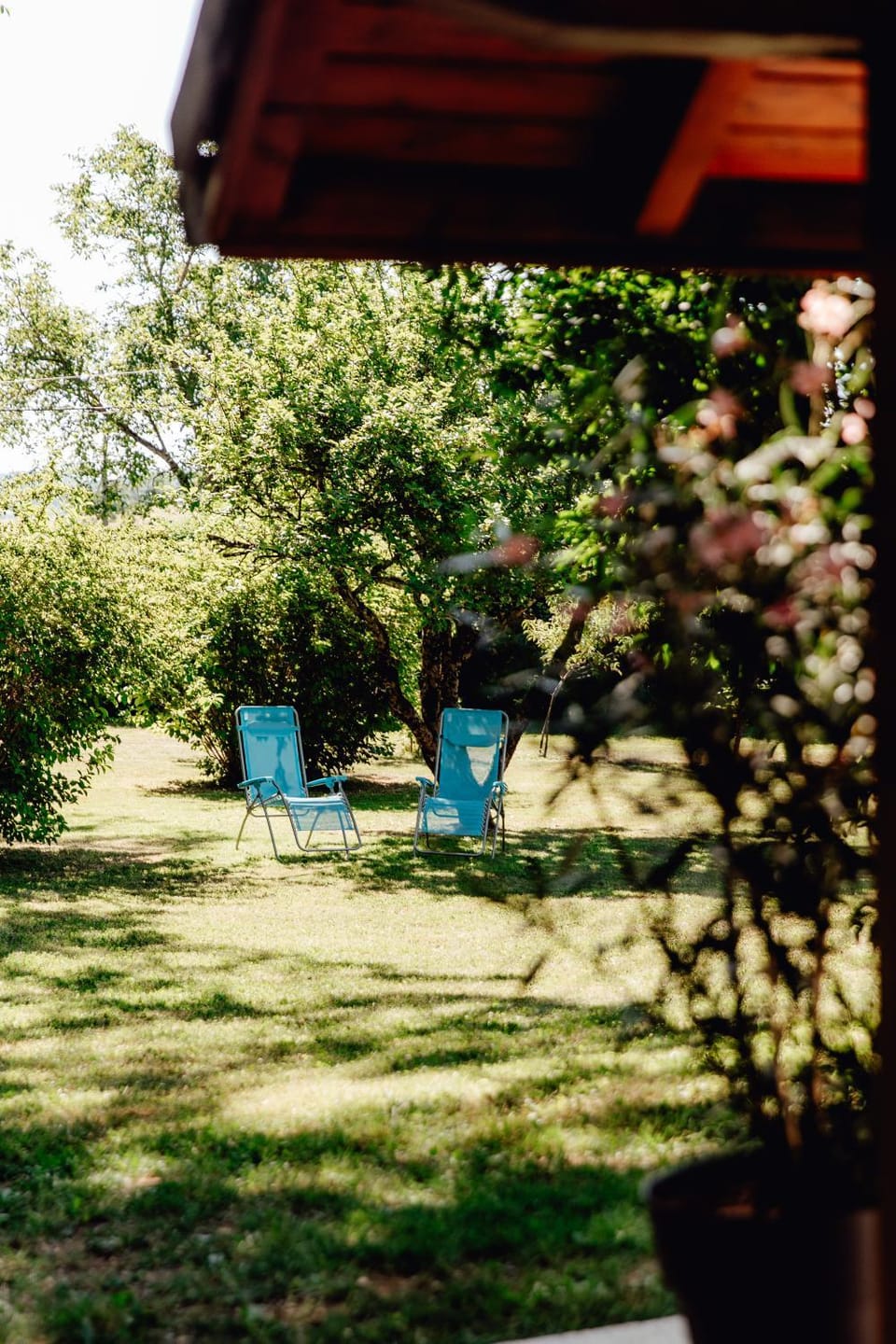 Garden, Garden, Garden view