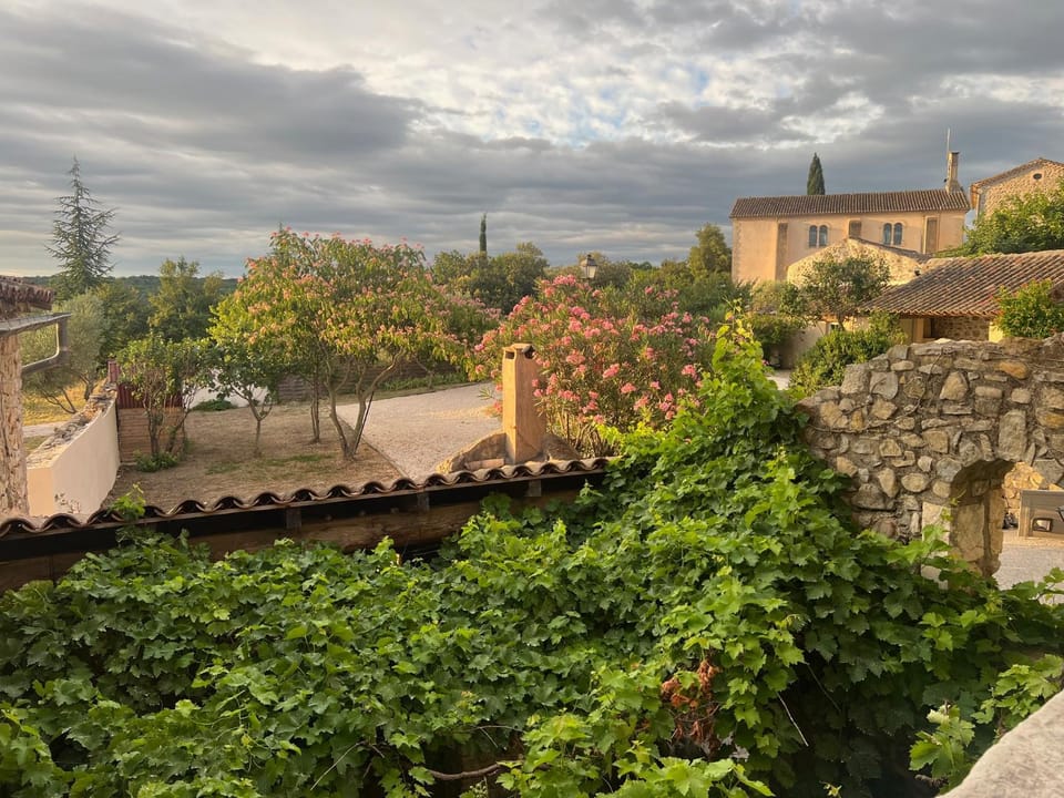 Garden view