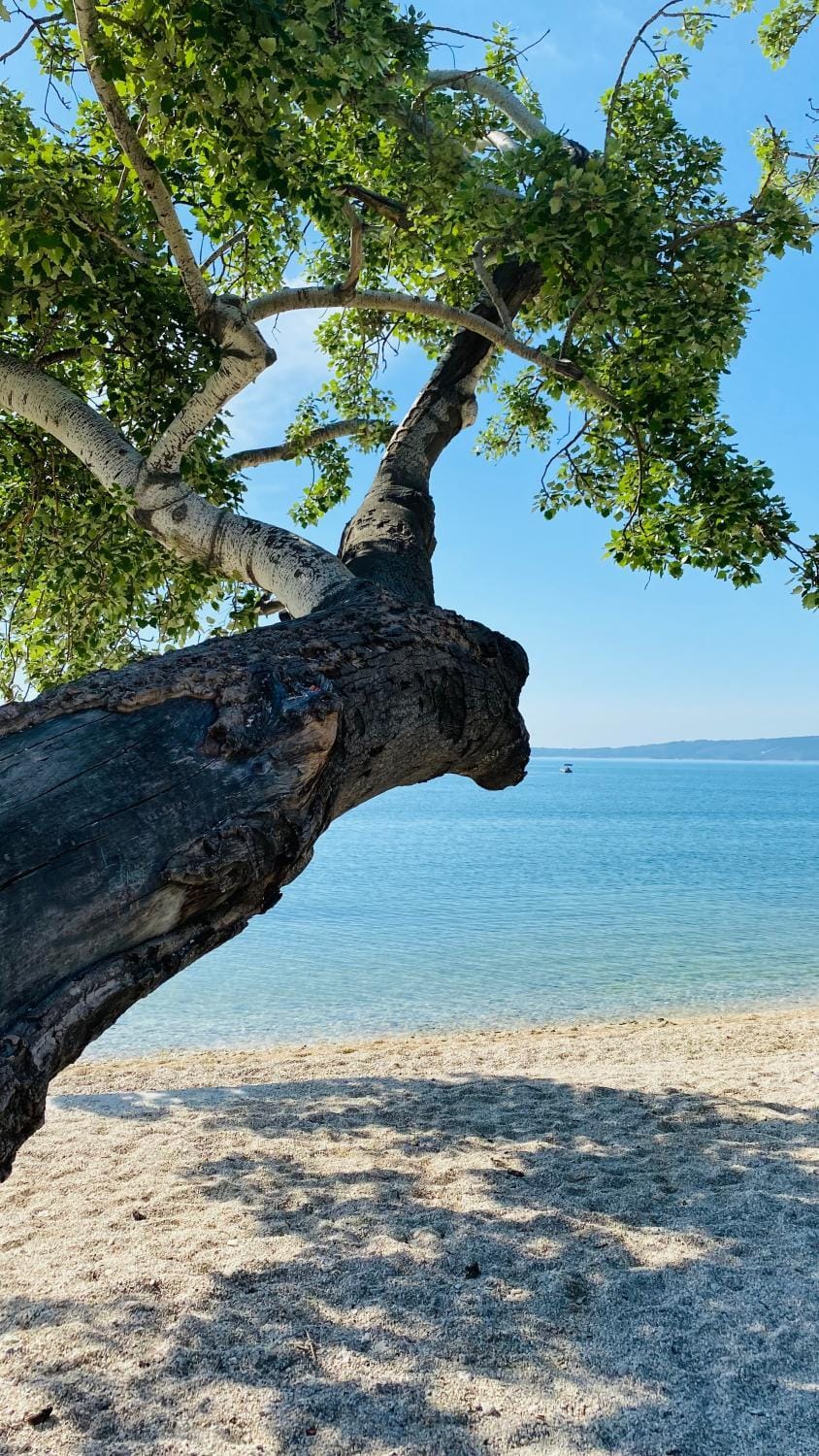 Nearby landmark, Beach