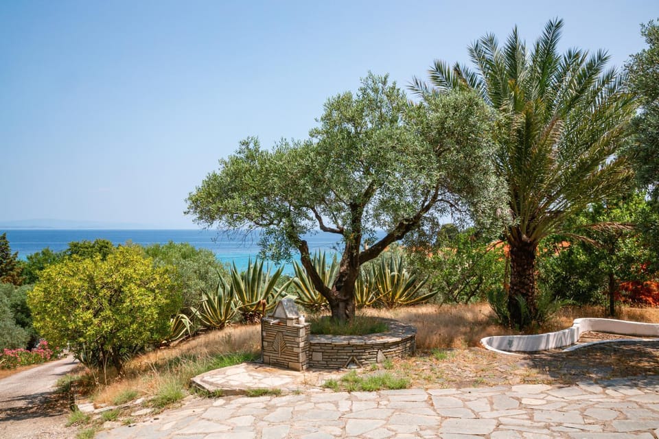 Natural landscape, Garden, Garden, Garden view, Sea view