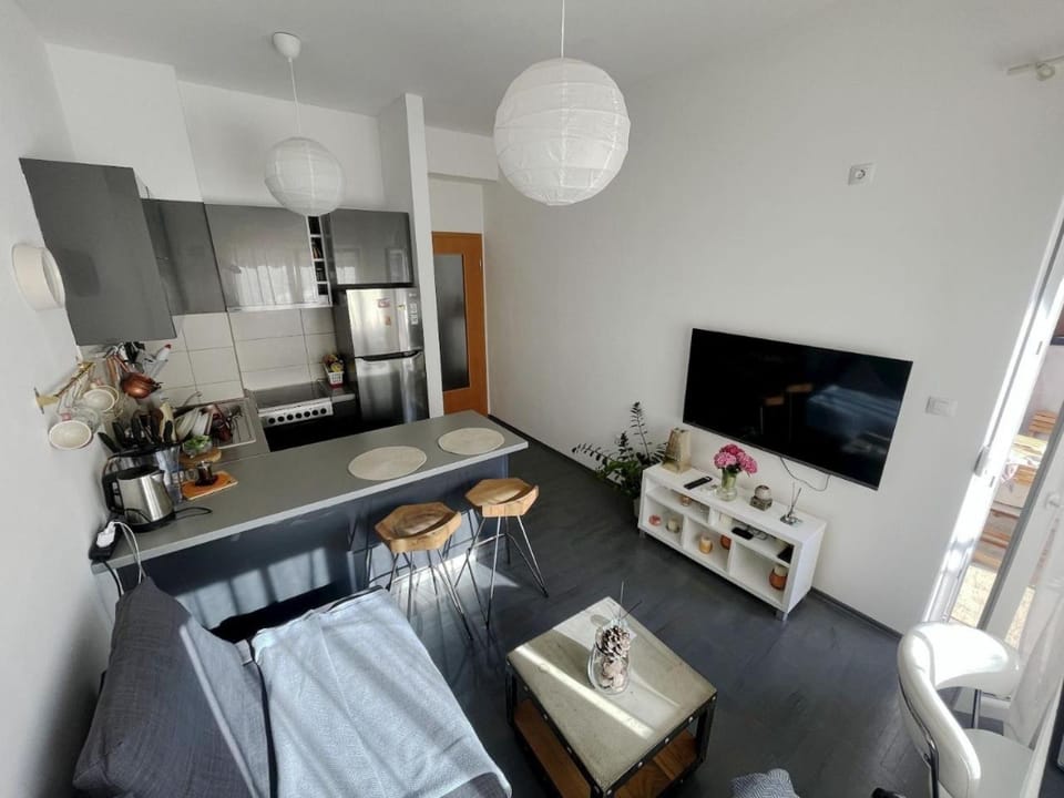TV and multimedia, Kitchen or kitchenette, Photo of the whole room, Seating area, Dining area, pet friendly