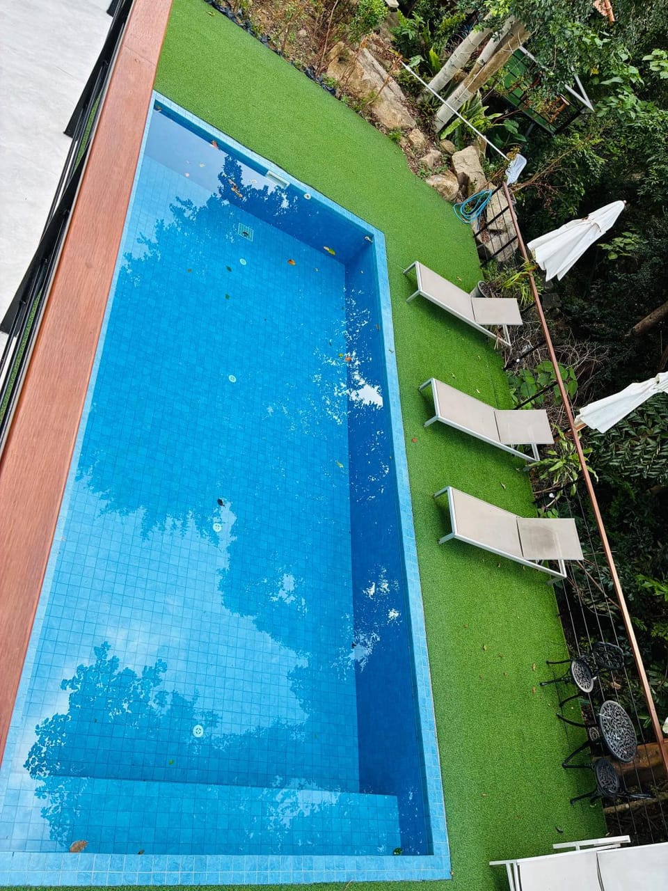 Garden, Garden view, Pool view, Swimming pool