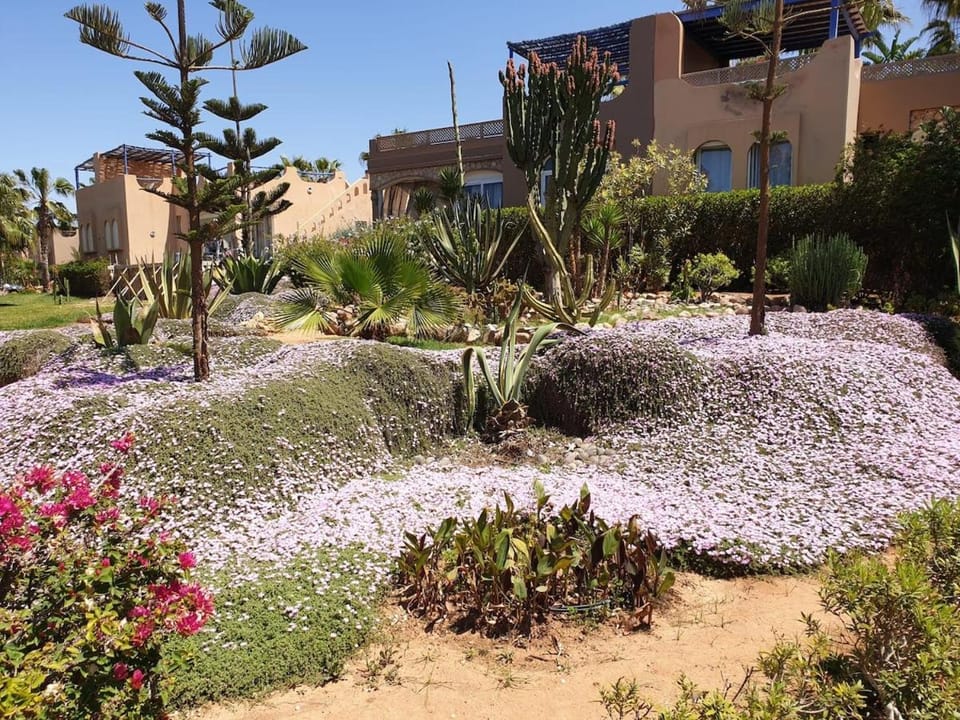 Villa bord de mer, piscine, fibre internet, Sidi Boulfdail, Mirleft Villa in Souss-Massa