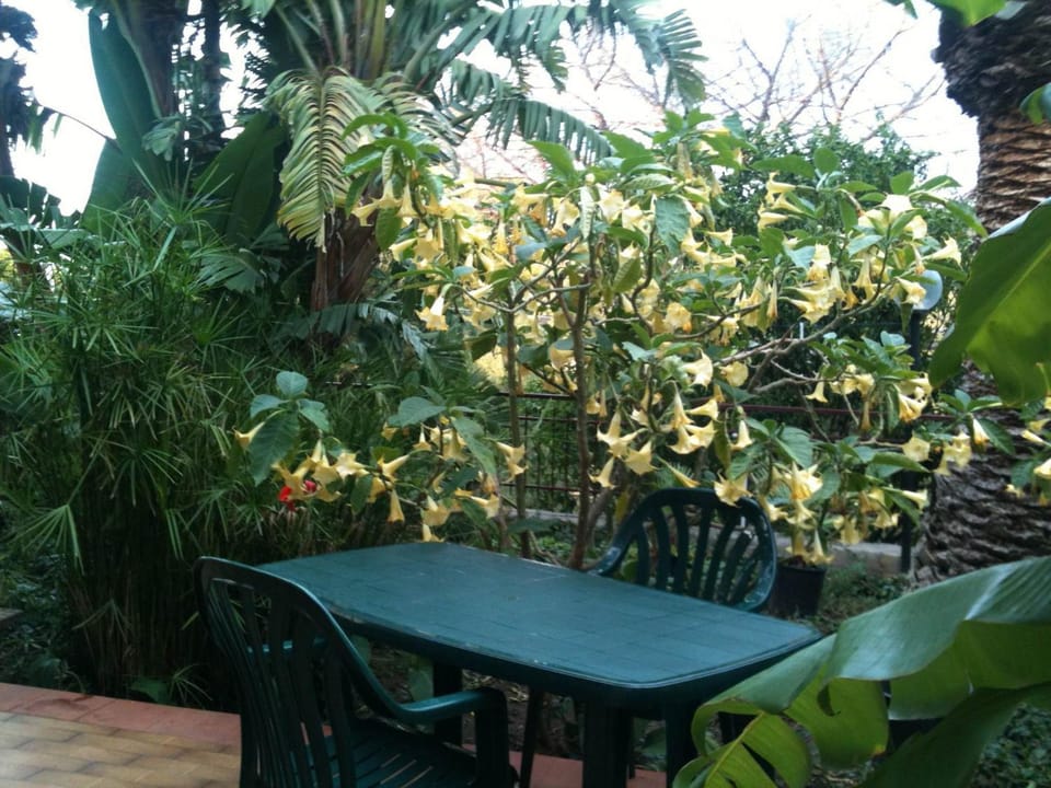 Apart in villa Sea view Sand beach Apartment in Cefalu