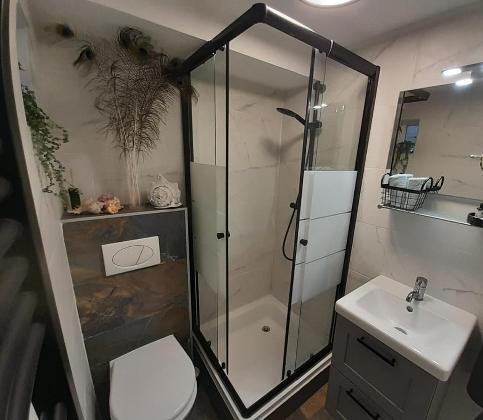 Shower, Toilet, towels