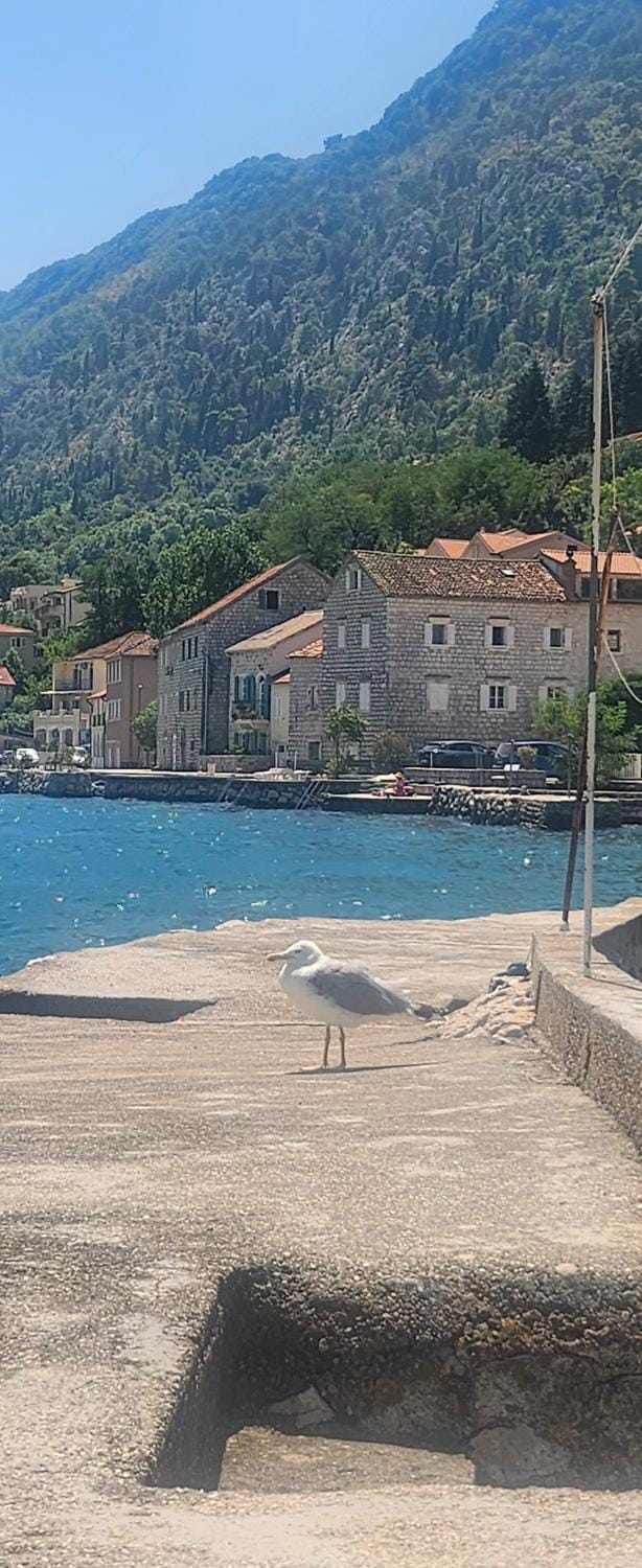 Natural landscape, Beach, Mountain view, Sea view