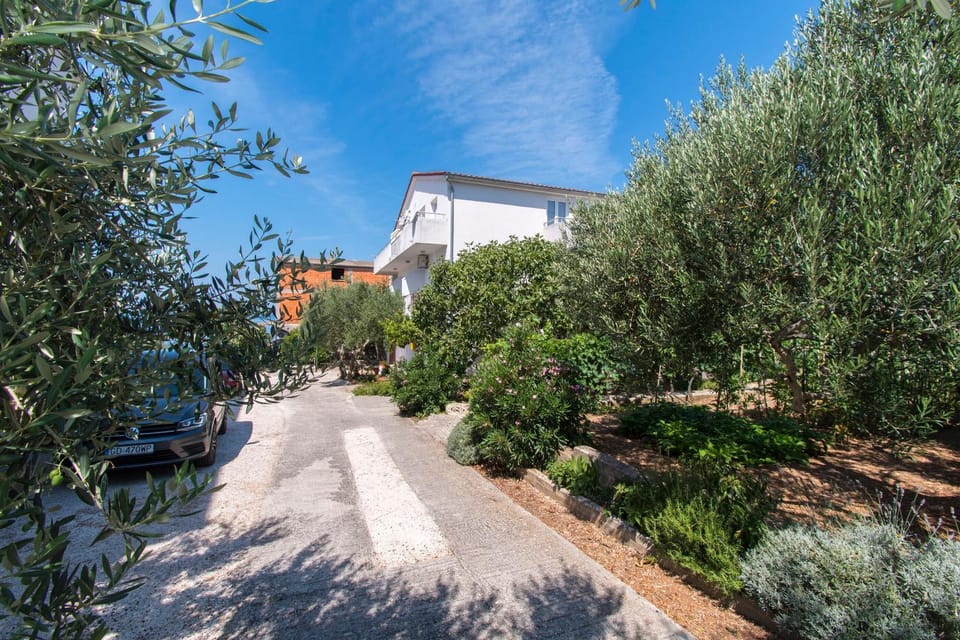 Property building, Facade/entrance, Day, Garden, Garden view, Street view, Location, Parking