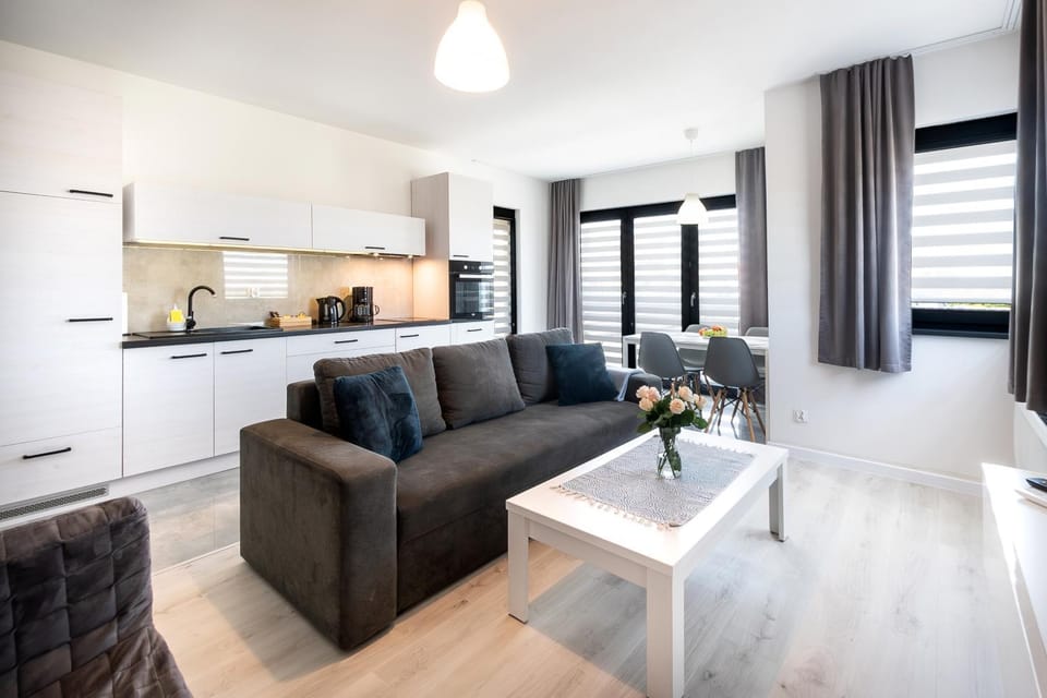 Kitchen or kitchenette, Living room, Seating area, Dining area, stove
