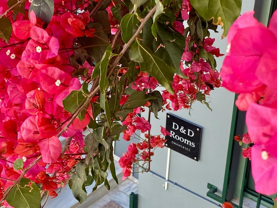 D&D 3 Nafplio Apartment in Nafplion