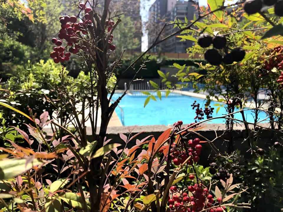 Swimming pool, Swimming pool
