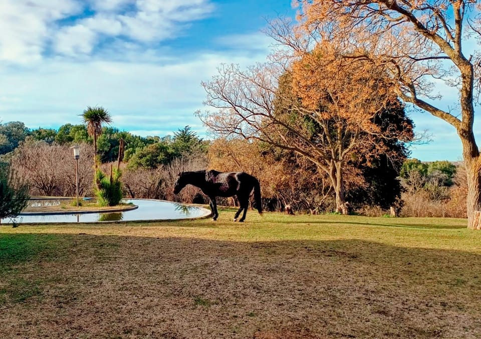 Property building, Day, Natural landscape, View (from property/room), View (from property/room), Animals, On site, Pool view, Swimming pool