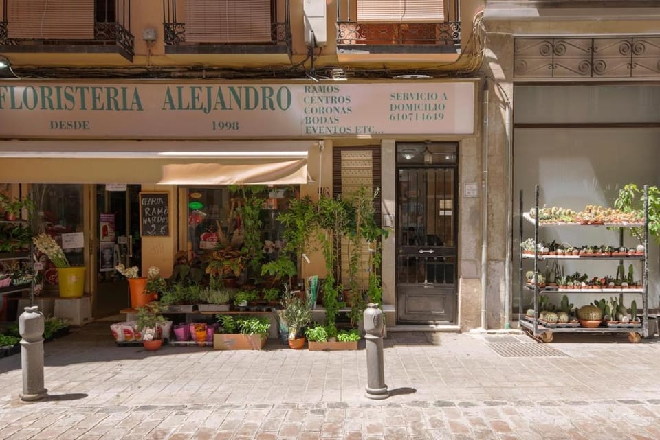 EnjoyGranada Catedral Apartment in Granada