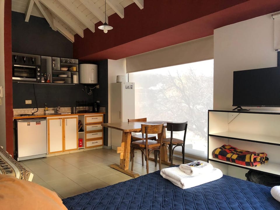 Bed, TV and multimedia, Kitchen or kitchenette, Living room, Photo of the whole room, Seating area, Dining area, Bedroom, minibar, oven, stove