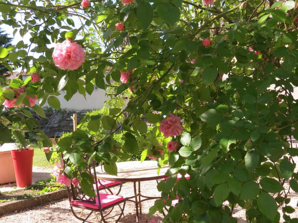 Le Jardin Bed and Breakfast in Provence-Alpes-Côte d'Azur