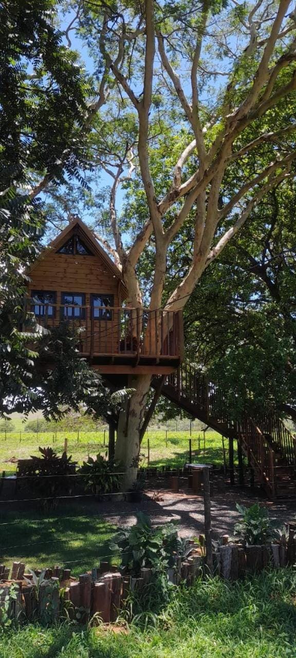 Casa na arvore Dream tree house Nature lodge in State of São Paulo