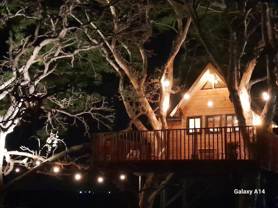 Casa na arvore Dream tree house Nature lodge in State of São Paulo