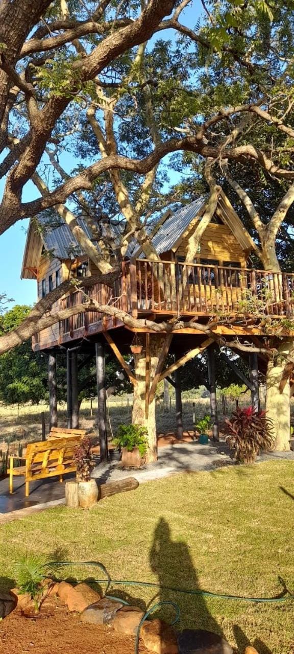Casa na arvore Dream tree house Nature lodge in State of São Paulo