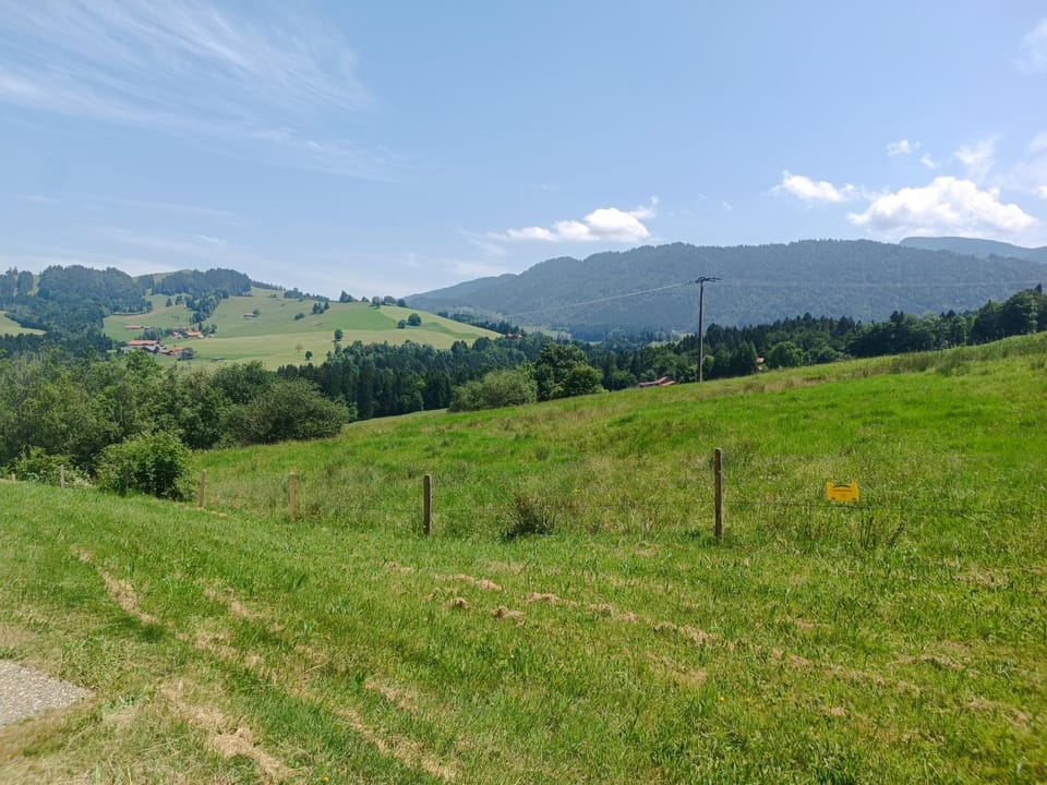Natural landscape