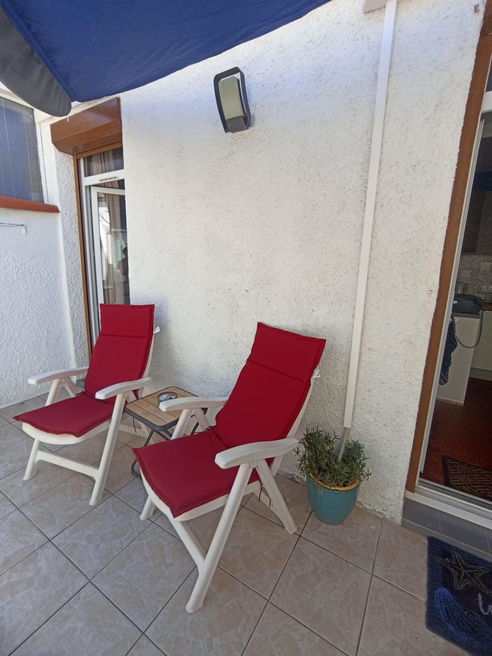 Patio, sunbed