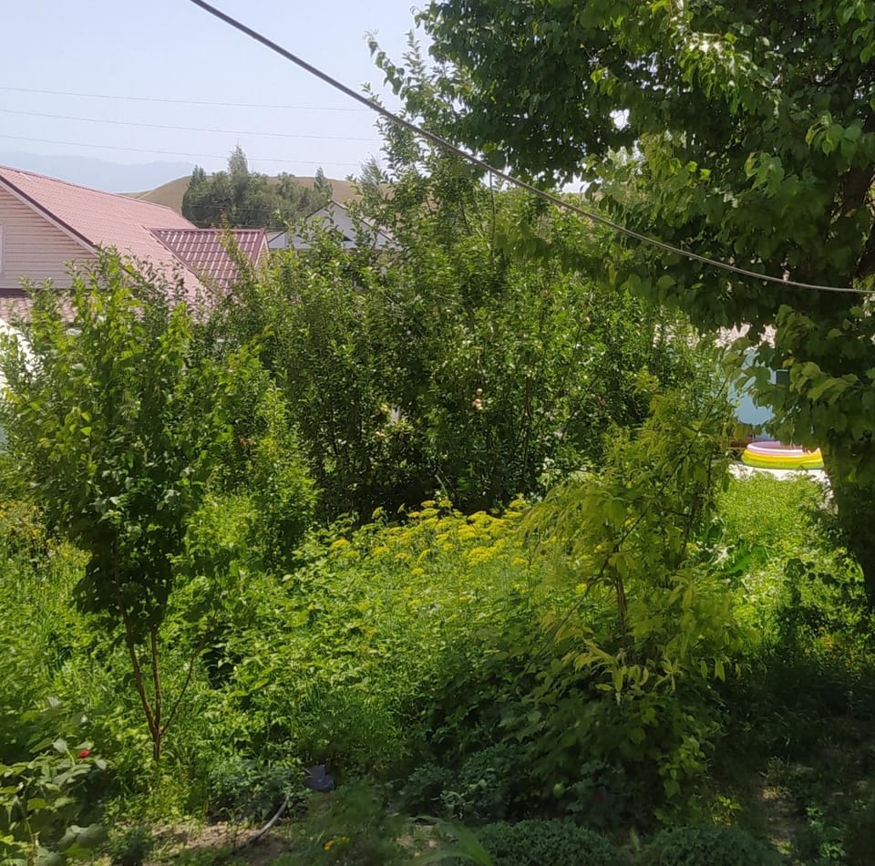 Guest house USMAN Bed and Breakfast in Europe
