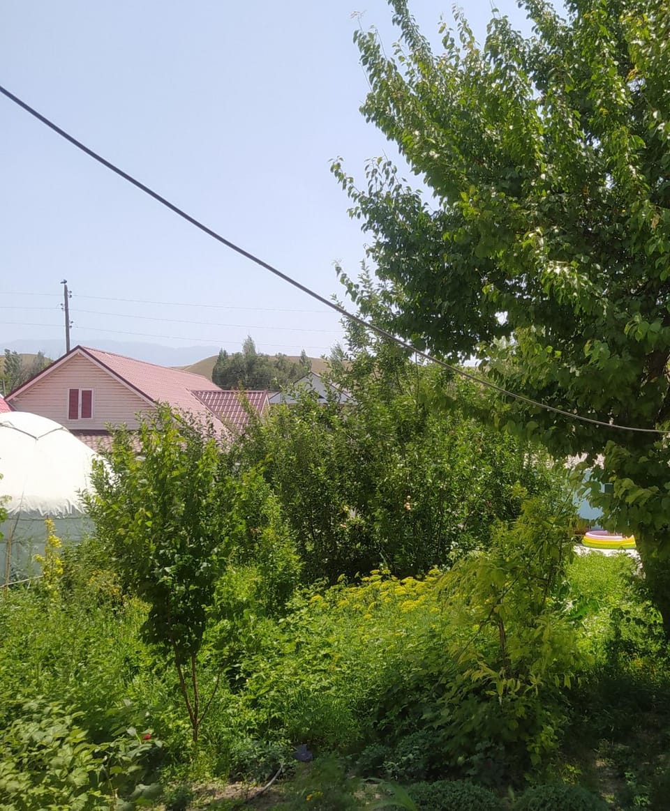 Guest house USMAN Bed and Breakfast in Europe