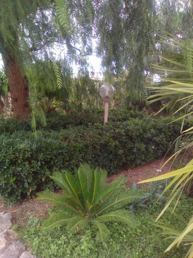 Garden, Garden