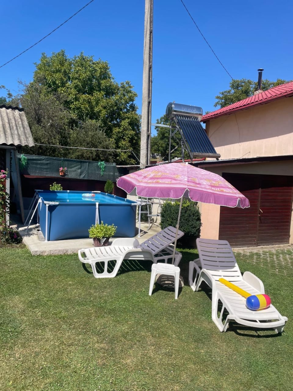 Summer, Garden, Pool view