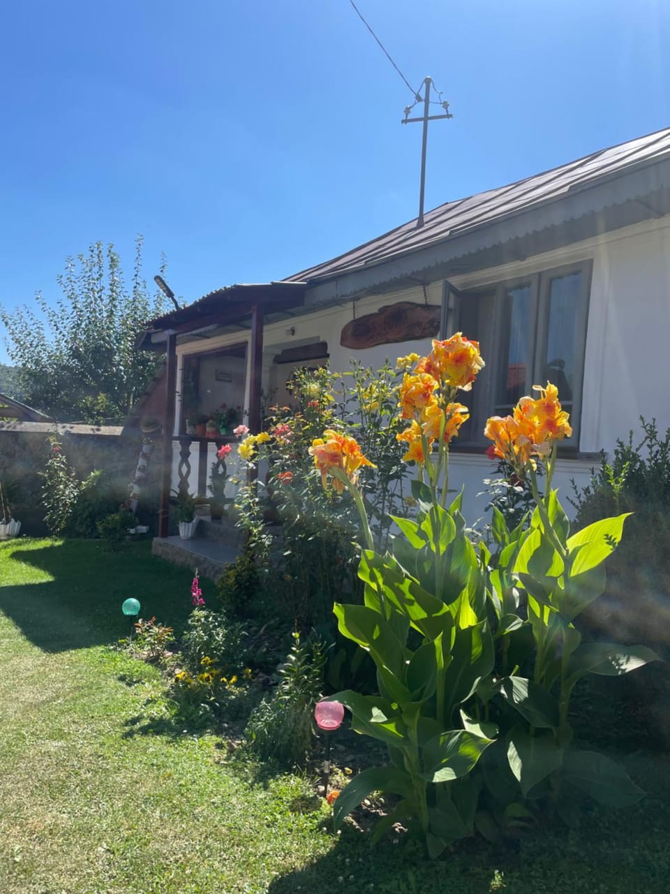 Property building, Day, Garden, Garden view