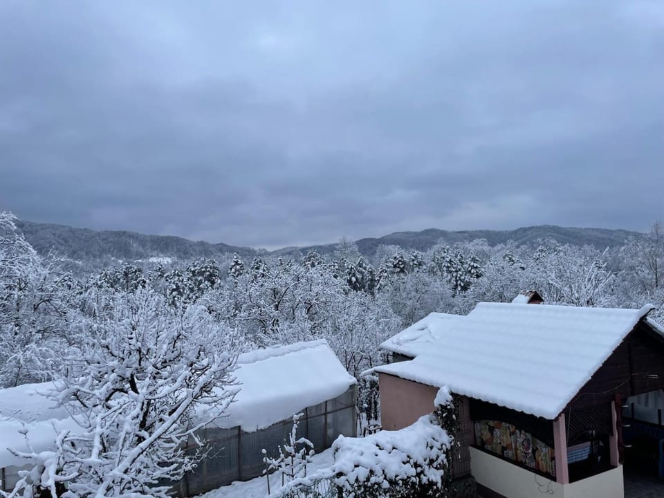 Bird's eye view, Winter, Garden view