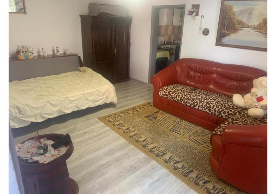 Bed, Living room, pet friendly