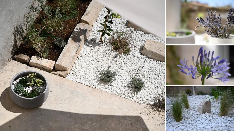 Day, Garden